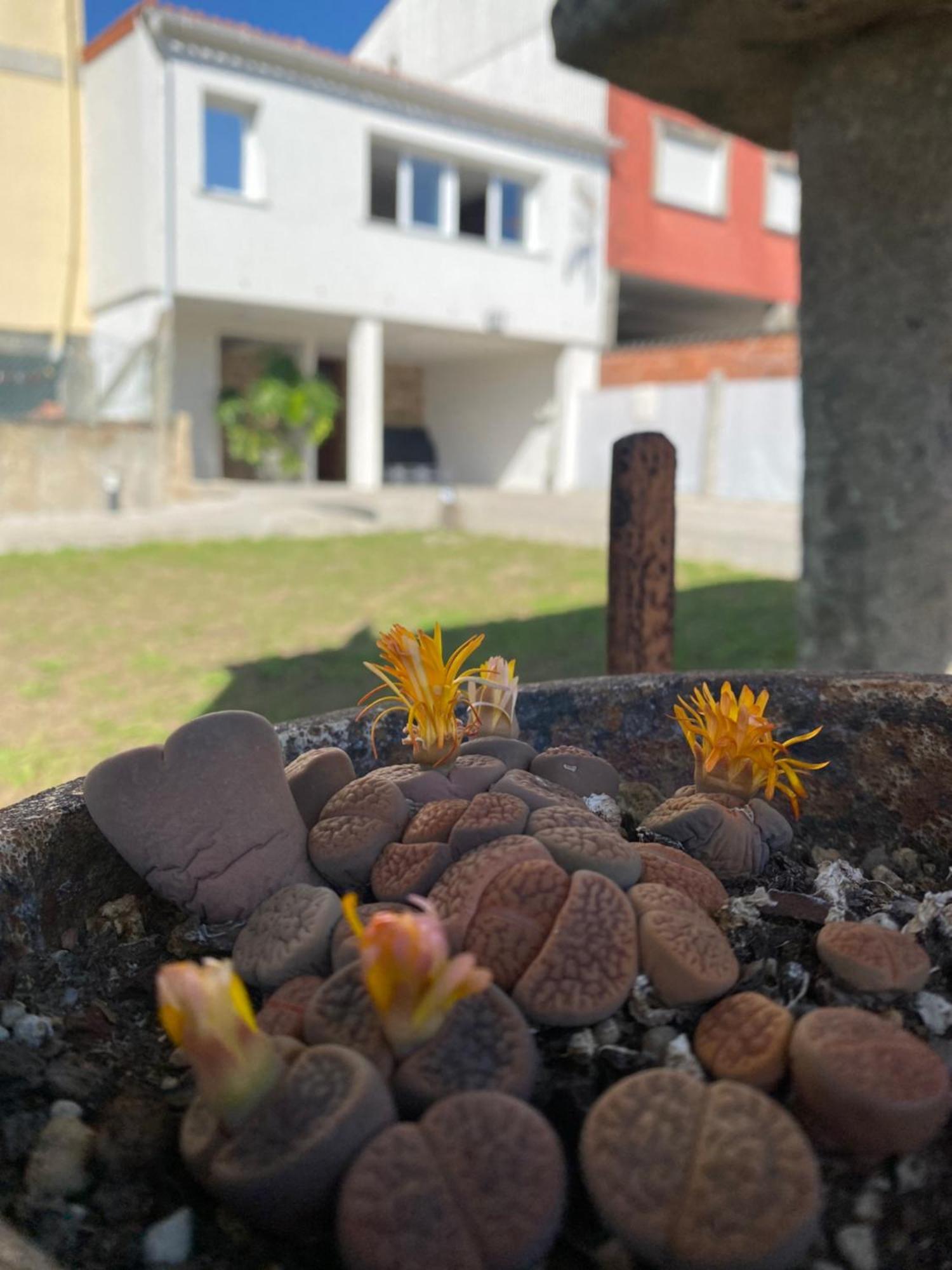 Casa Do Campo Lestrove Padrón Exterior foto